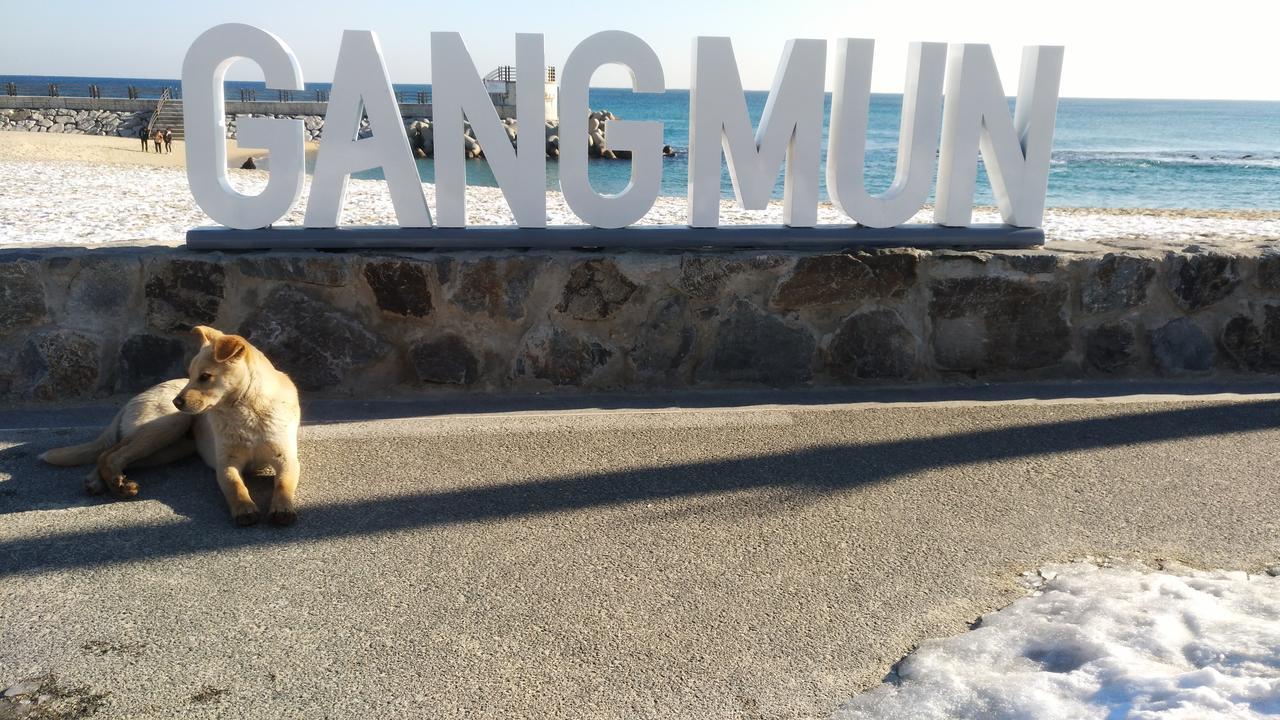 Ocean Capsule Guesthouse Gangneung Exterior foto